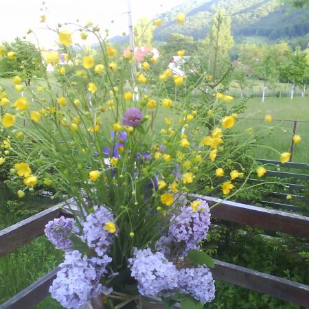 Liliac si Flori de munte